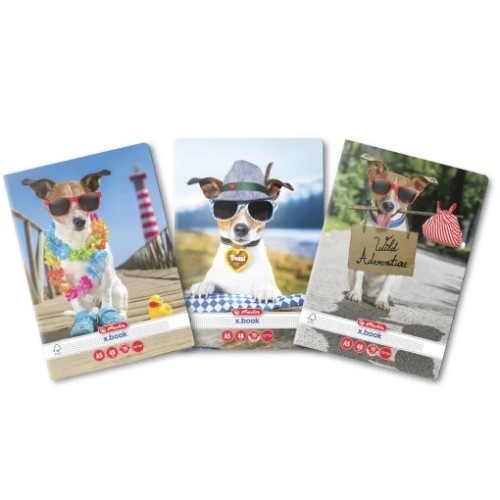 Caiet Herlitz A5 48 file patratele, motiv Cool Dog