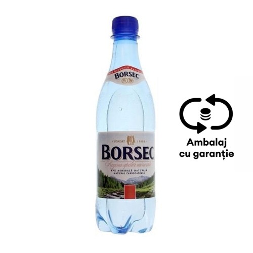 Apa minerala carbogazoasa Borsec, 0.5 l, 12 sticle/bax, eticheta SGR