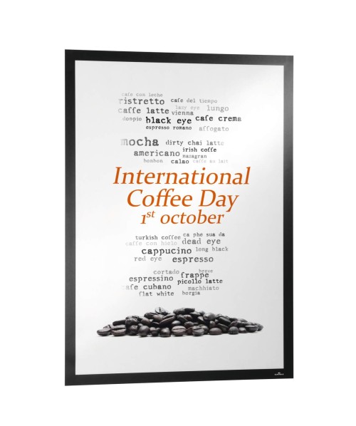 Display autoadeziv, magnetic Durable Duraframe Poster, 50 x 70 cm, argintiu
